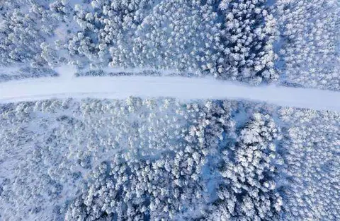 Ткань Frost в интерьере, фото 3